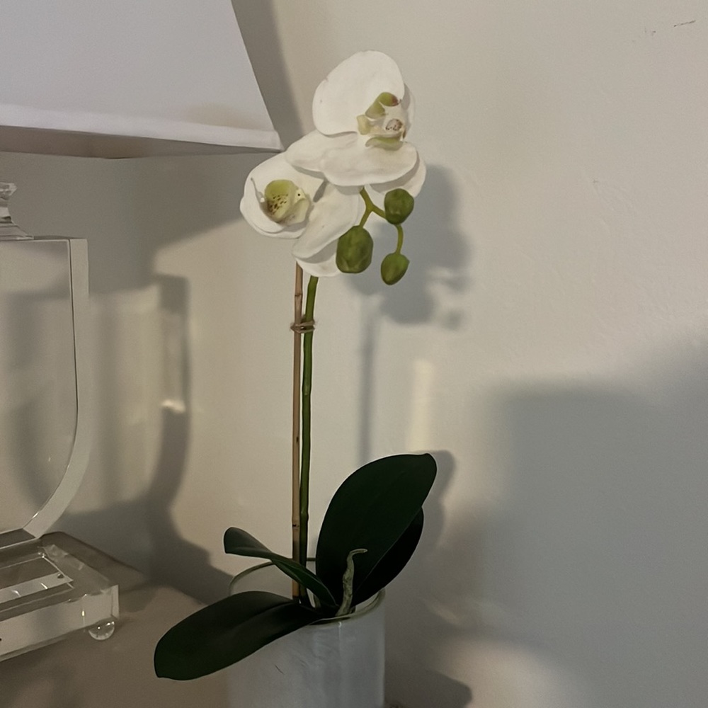 Home decor - Picture 3 of 3